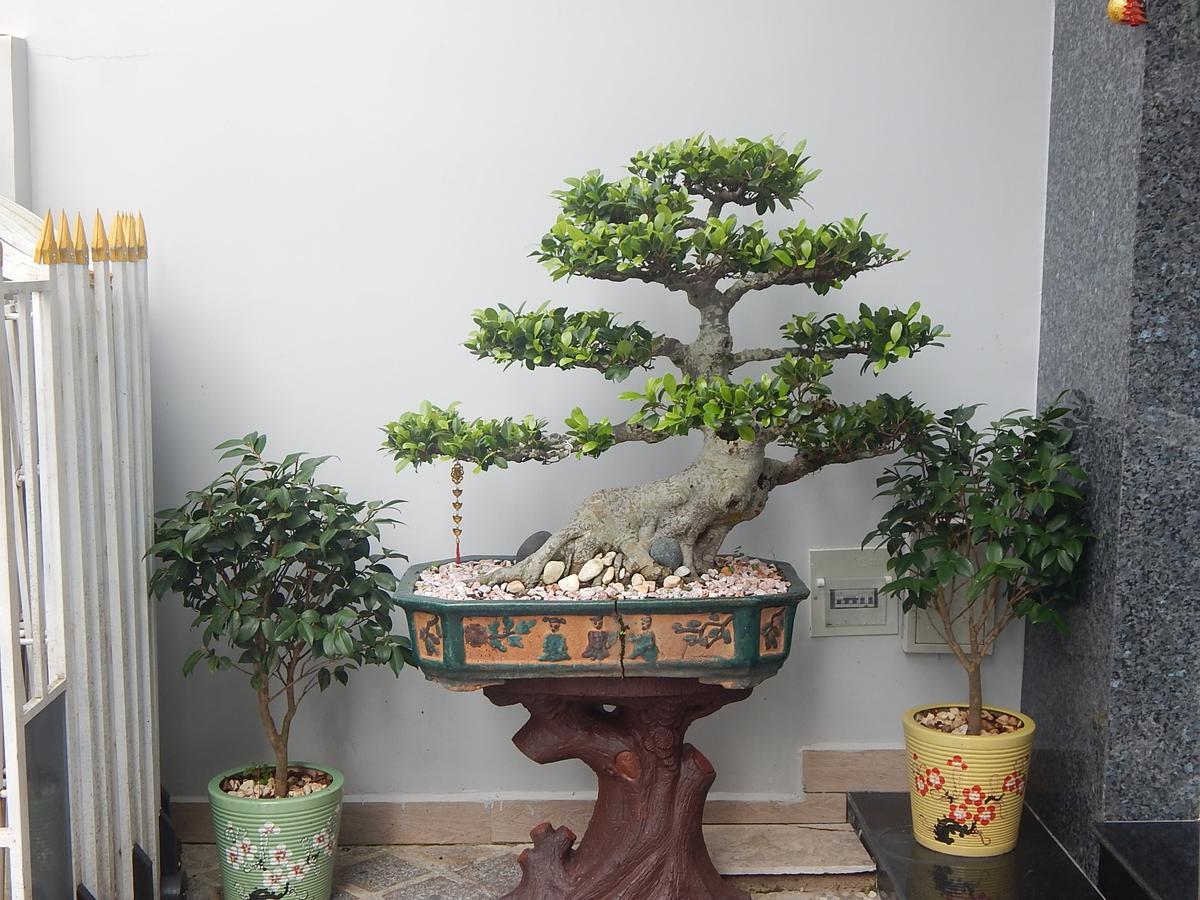 Dalat View Homestay Εξωτερικό φωτογραφία